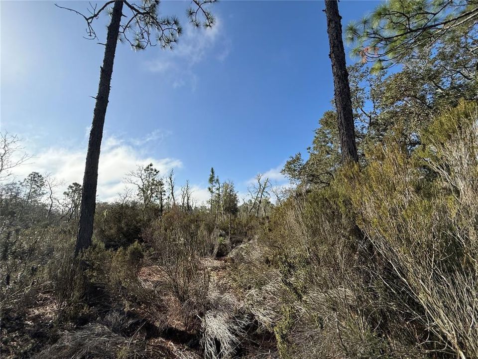 Active With Contract: $18,000 (1.25 acres)