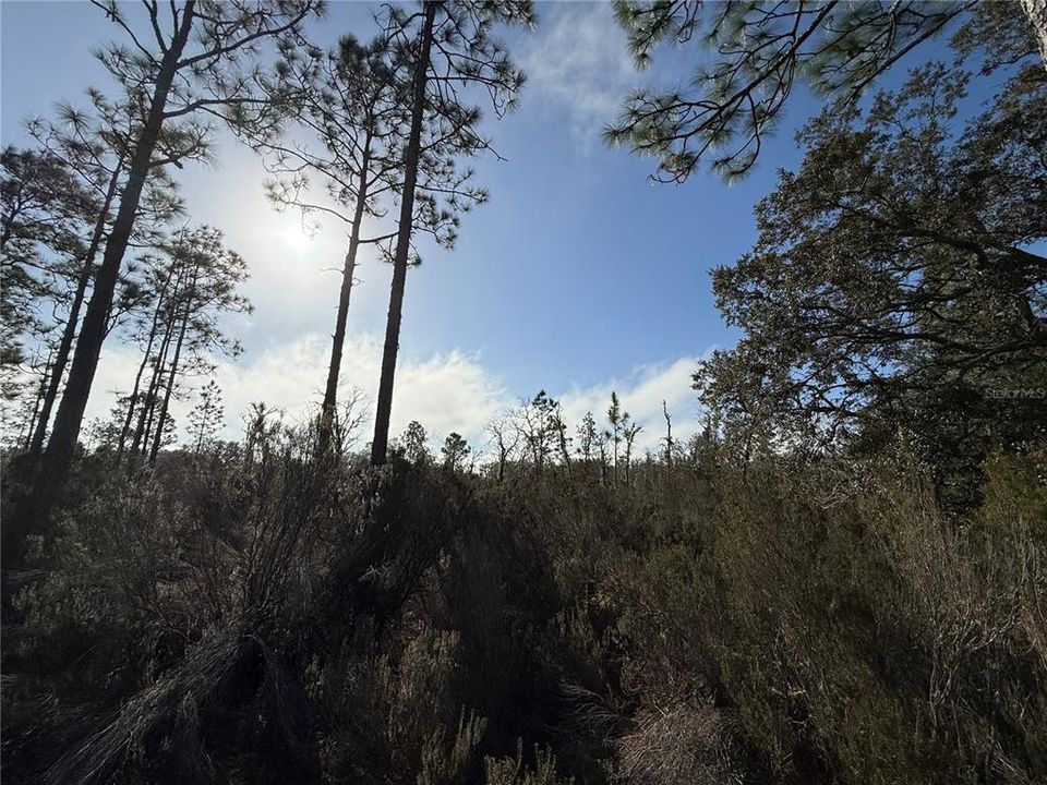 Active With Contract: $18,000 (1.25 acres)