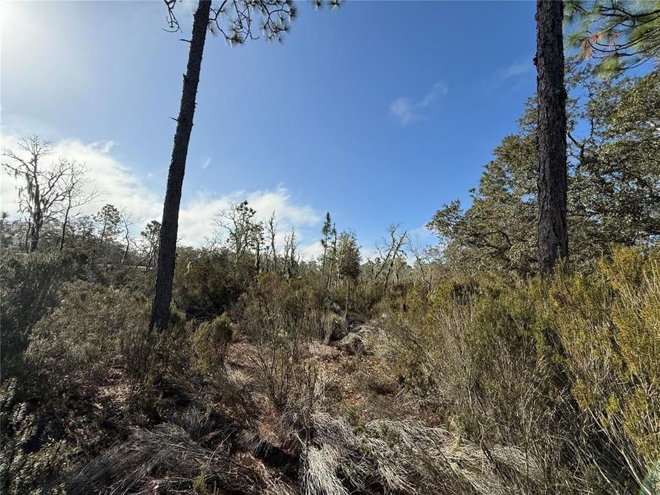 Active With Contract: $18,000 (1.25 acres)