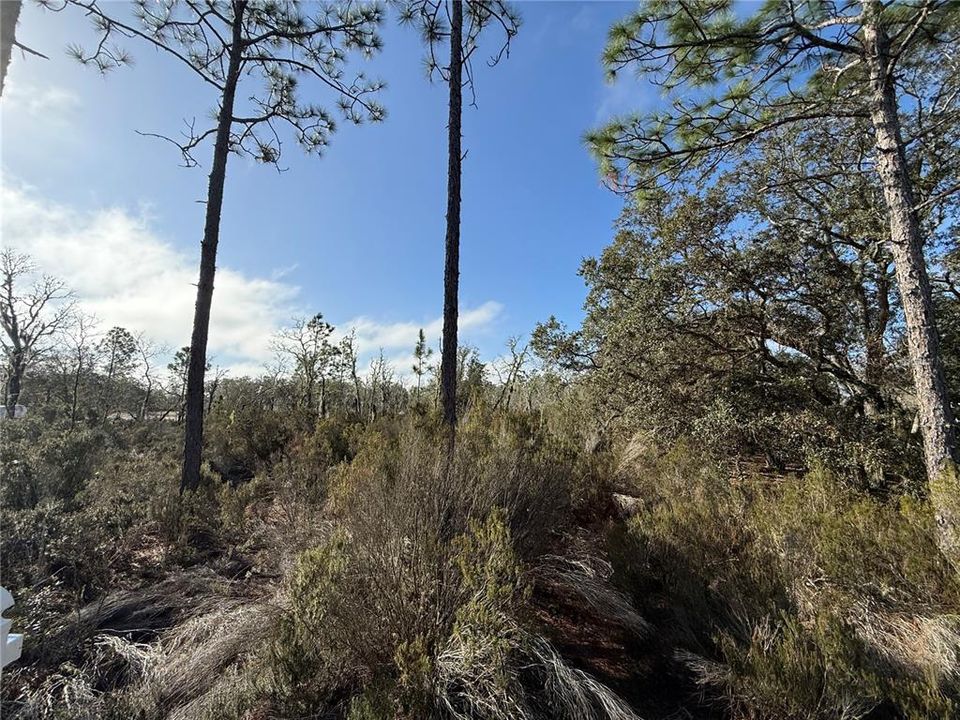 Active With Contract: $18,000 (1.25 acres)