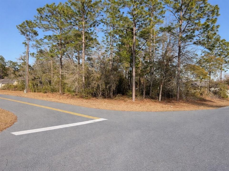 合同活跃: $45,000 (0.30 acres)