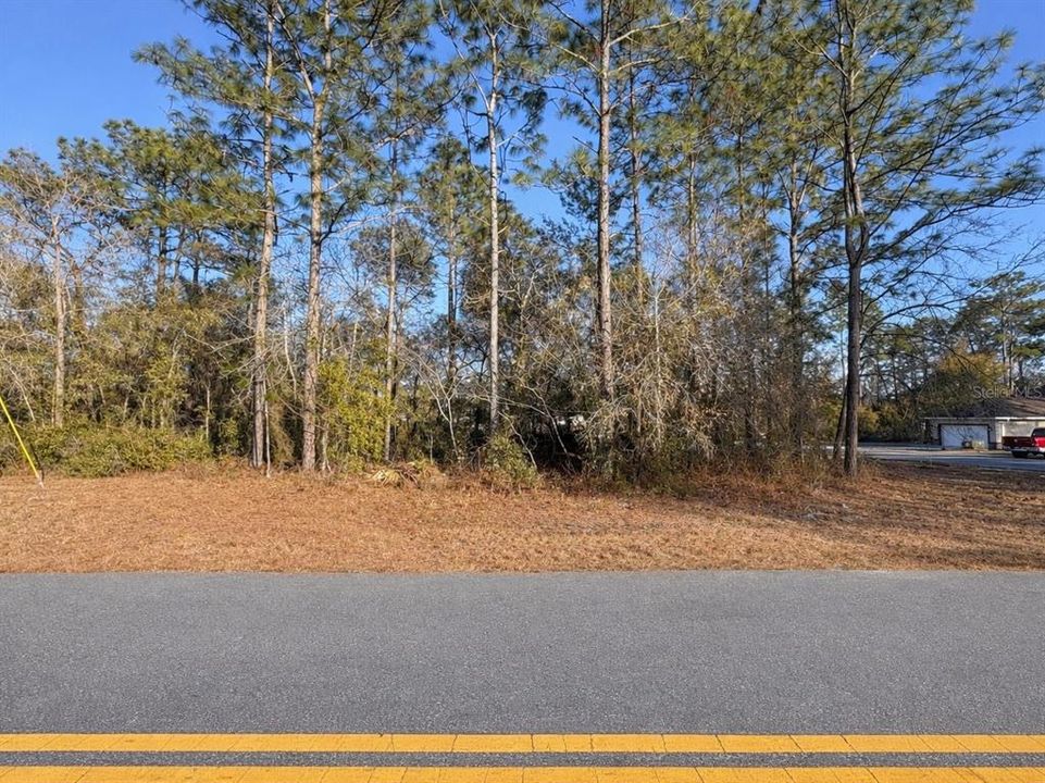 合同活跃: $45,000 (0.30 acres)