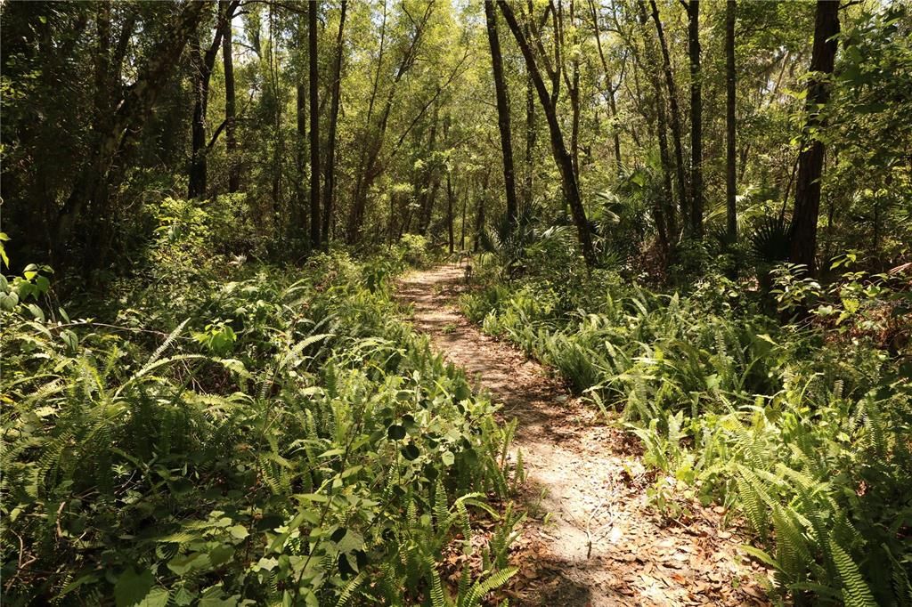 На продажу: $85,000 (1.08 acres)