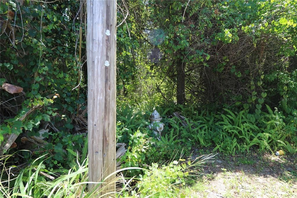 На продажу: $85,000 (1.08 acres)