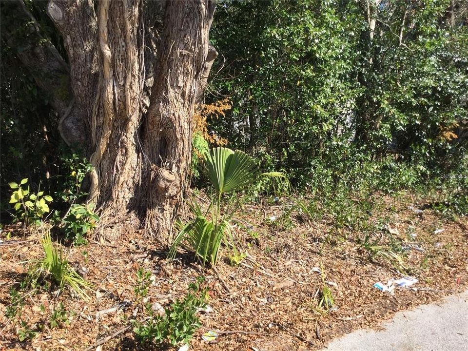 待售: $30,000 (0.23 acres)