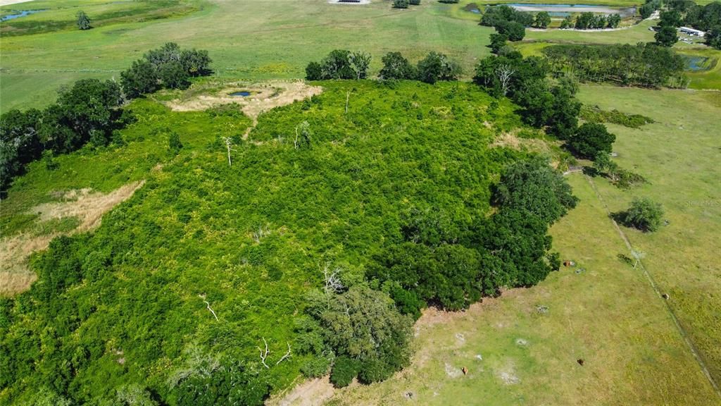 На продажу: $2,000,000 (48.08 acres)