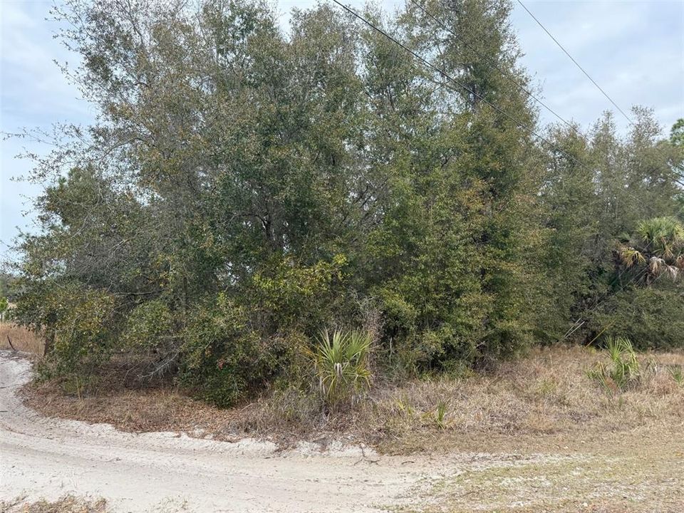 На продажу: $40,000 (1.29 acres)