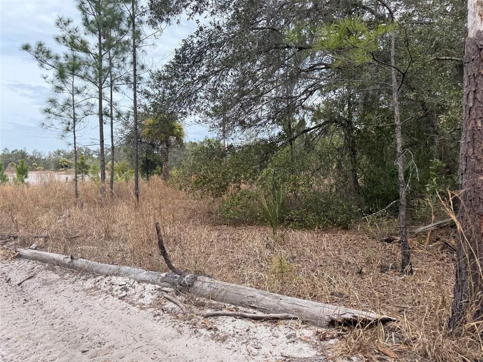 На продажу: $40,000 (1.29 acres)