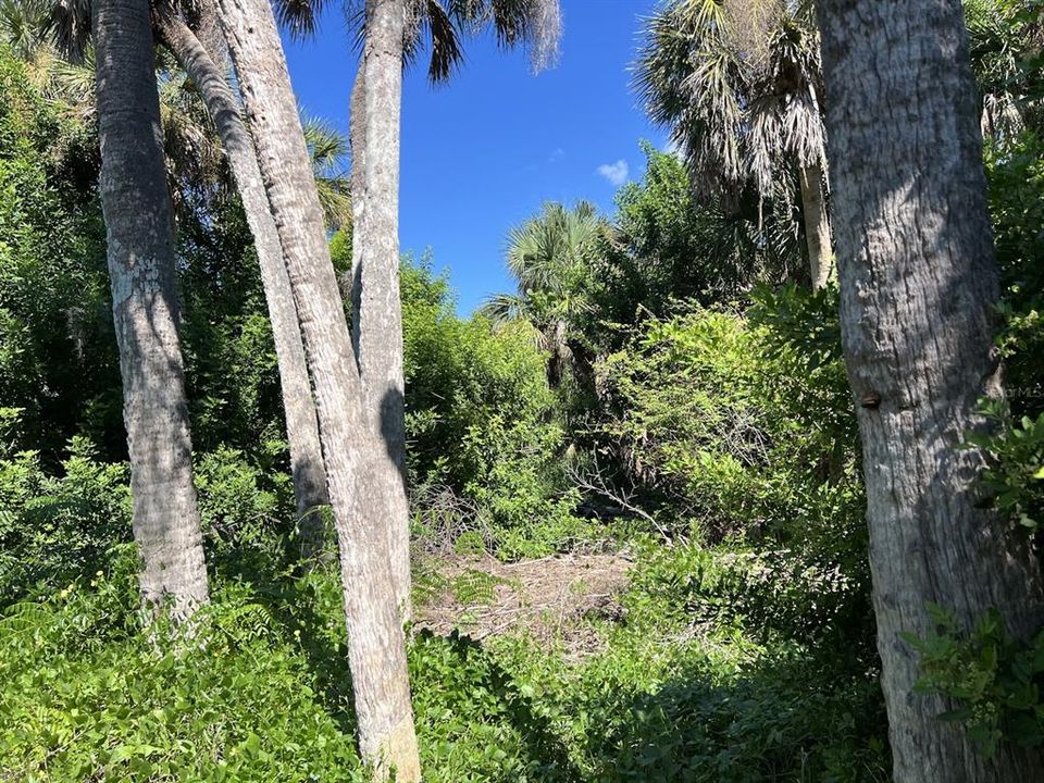待售: $900,000 (3.41 acres)