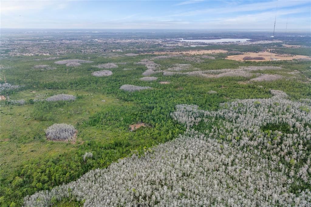 待售: $80,000 (5.19 acres)