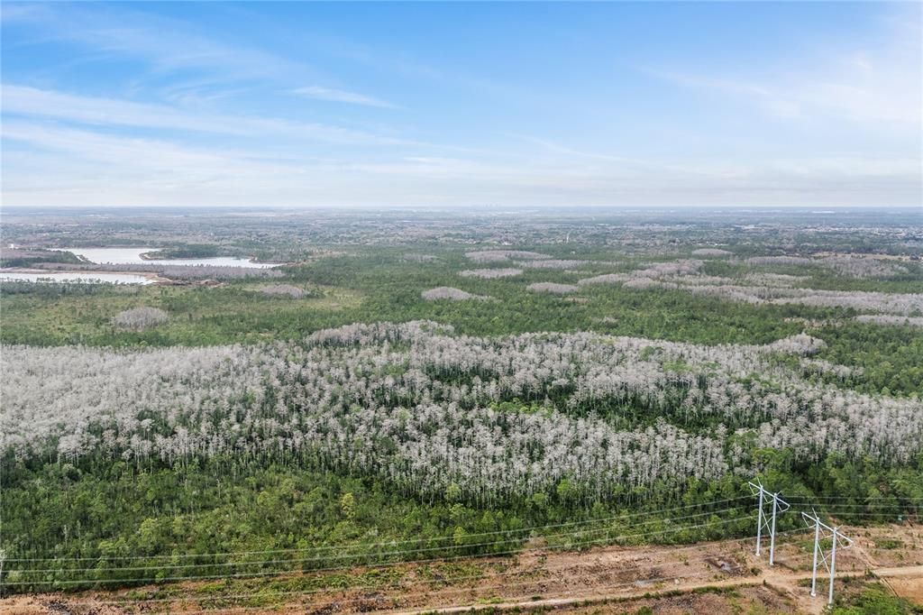 待售: $80,000 (5.19 acres)