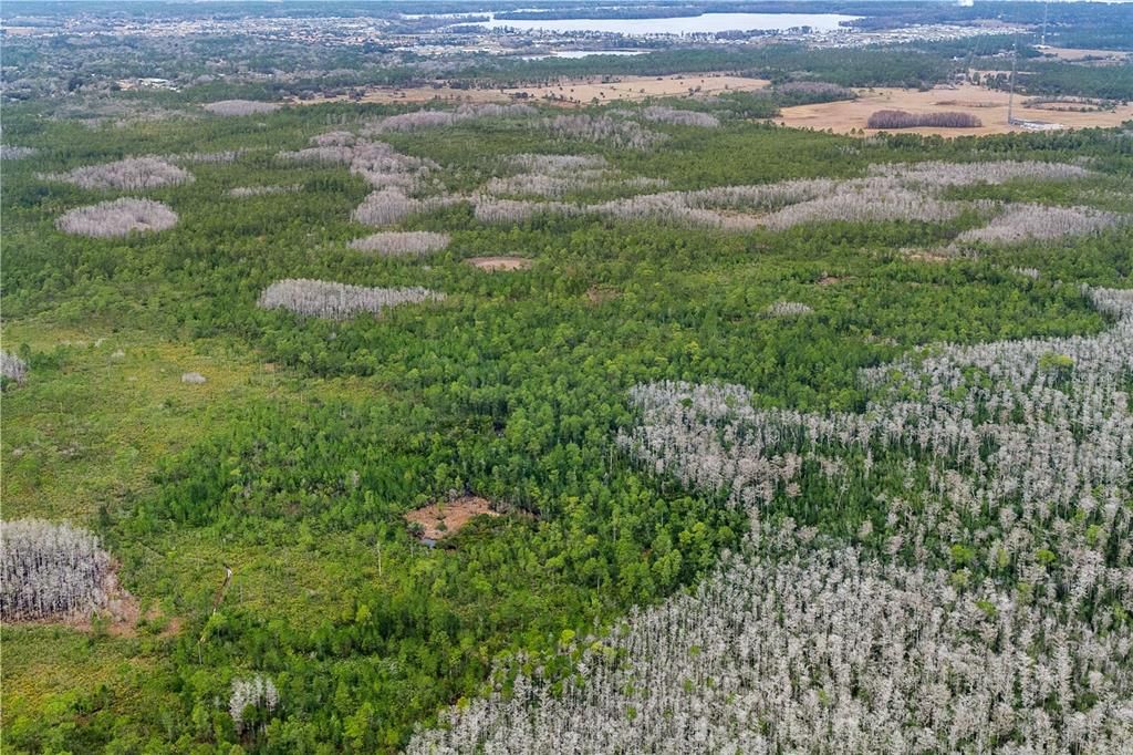 待售: $80,000 (5.19 acres)