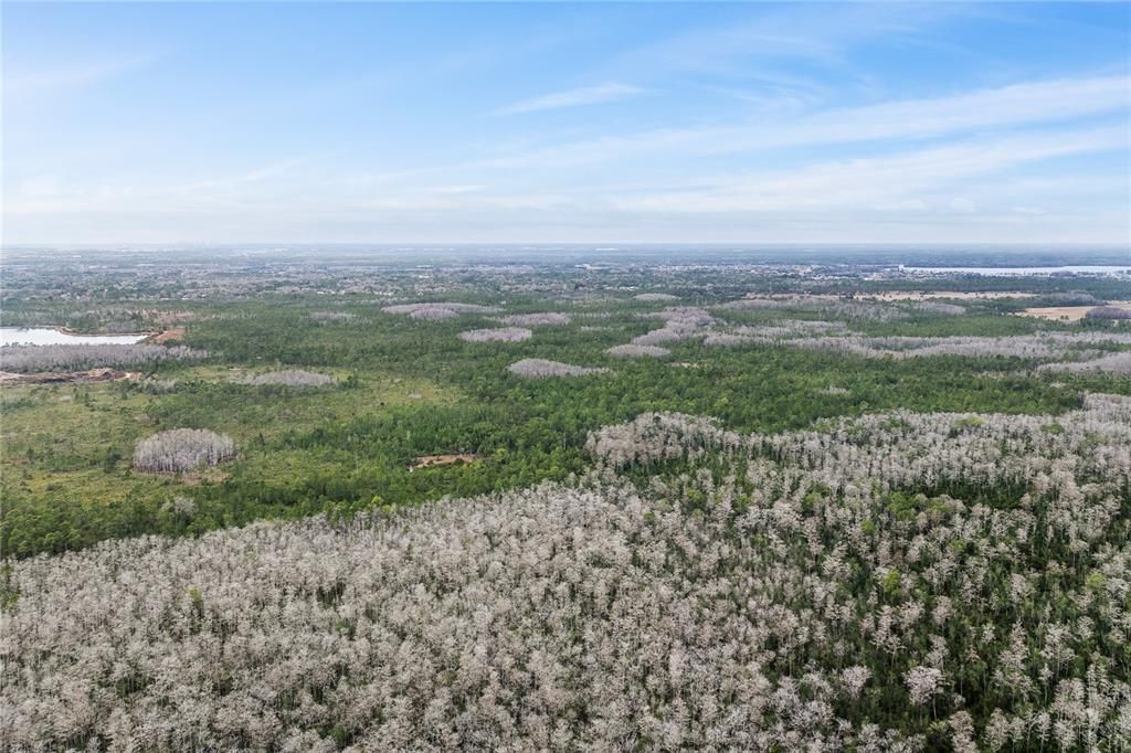 待售: $80,000 (5.19 acres)