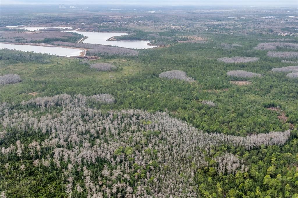 待售: $80,000 (5.19 acres)