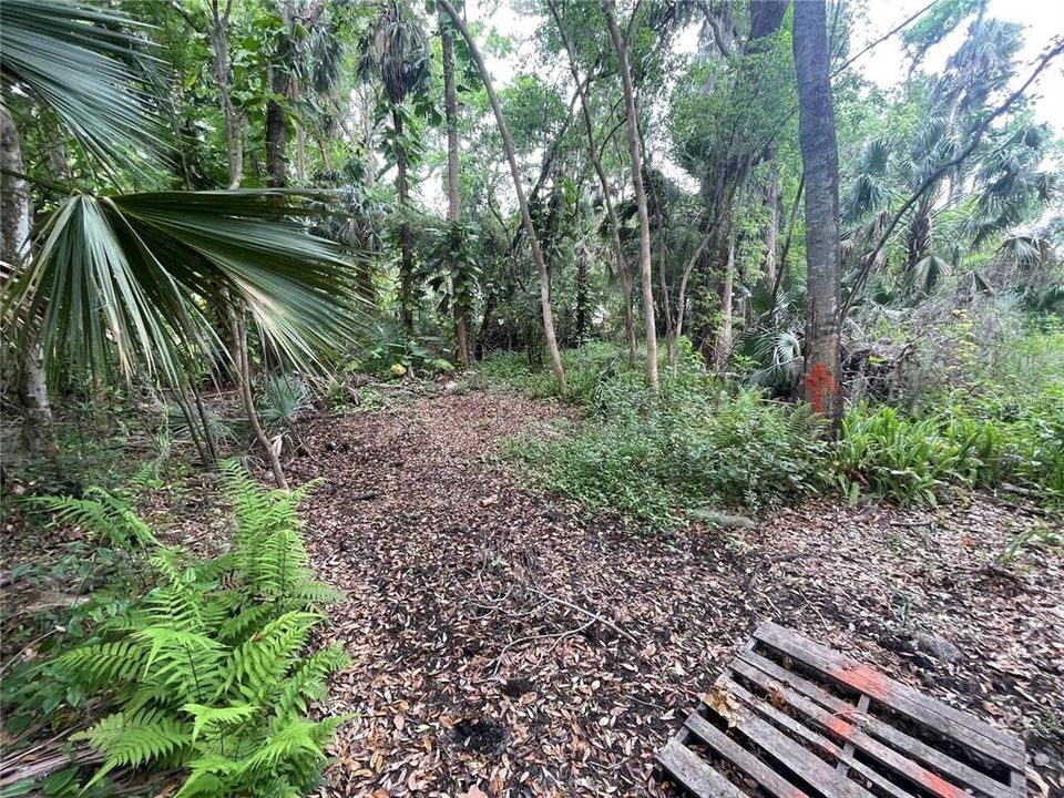 En Venta: $49,000 (0.34 acres)