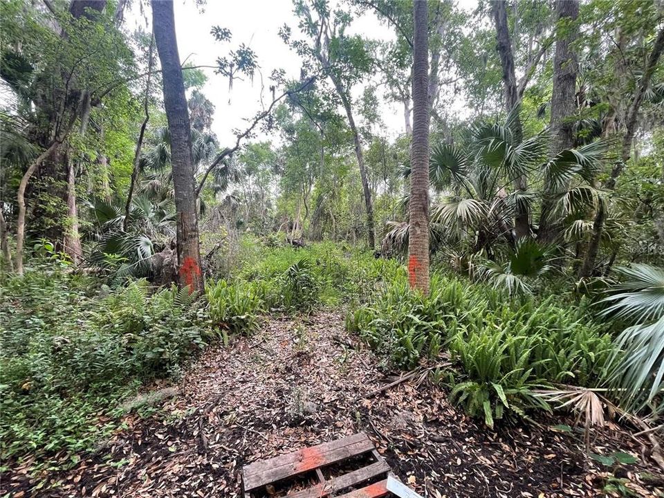 En Venta: $49,000 (0.34 acres)