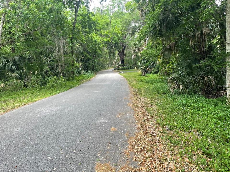 En Venta: $49,000 (0.34 acres)