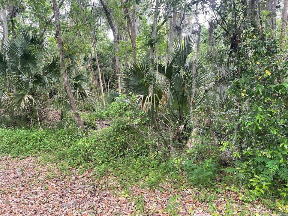 En Venta: $49,000 (0.34 acres)