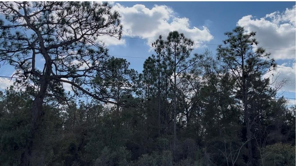 На продажу: $139,500 (2.50 acres)