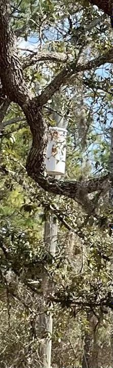 На продажу: $139,500 (2.50 acres)