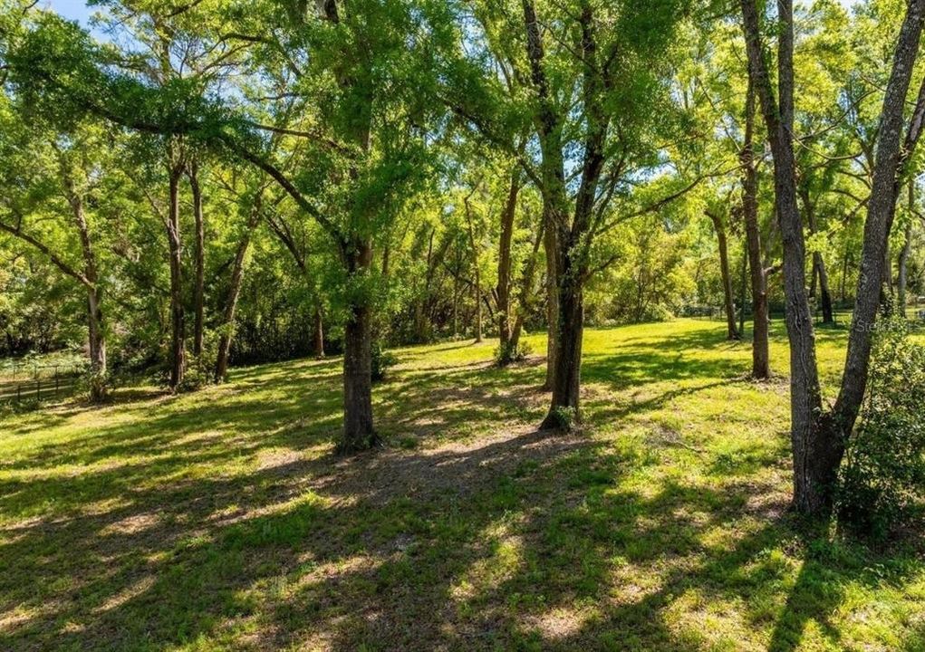En Venta: $239,900 (1.01 acres)