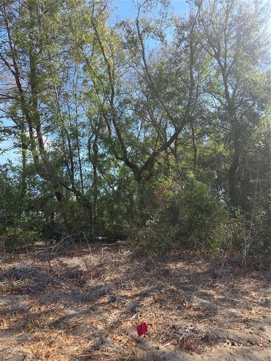 Recently Sold: $47,500 (0.29 acres)