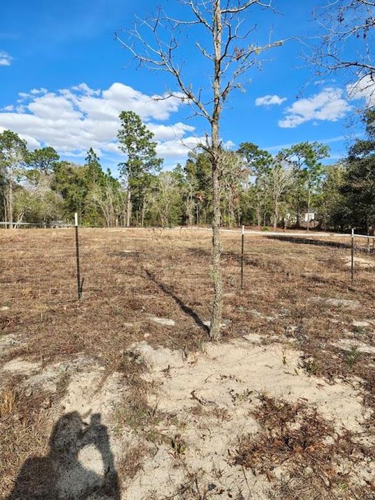 На продажу: $119,000 (2.32 acres)