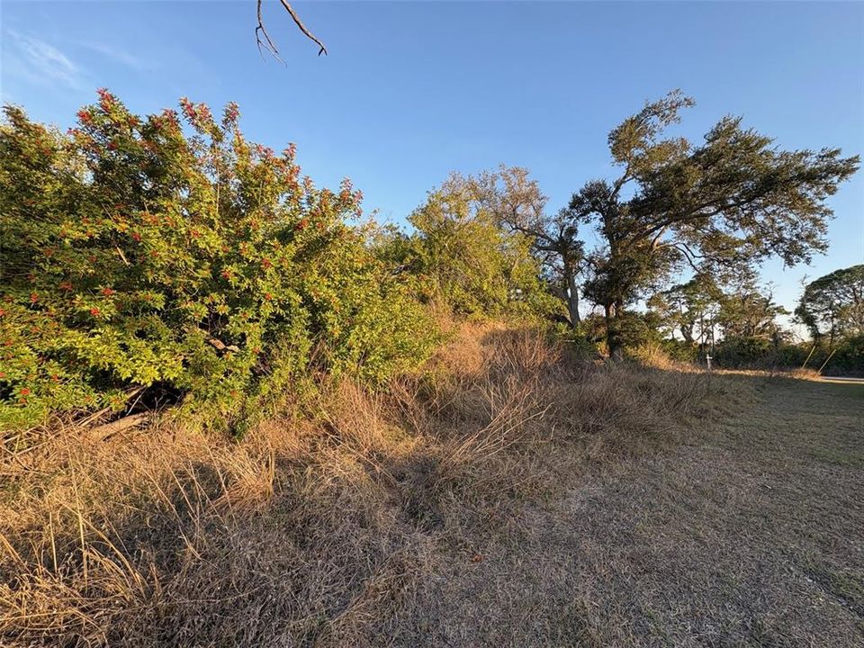 待售: $85,000 (0.23 acres)