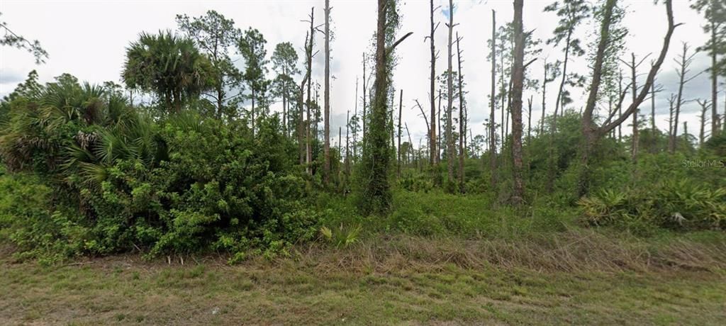 For Sale: $16,500 (0.25 acres)