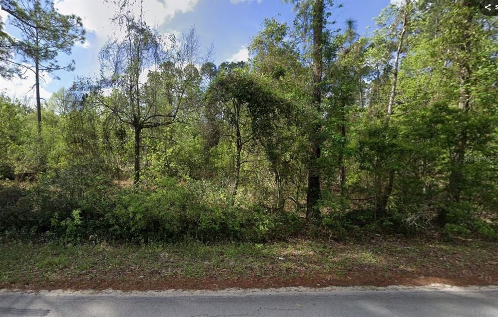 En Venta: $9,999 (0.25 acres)