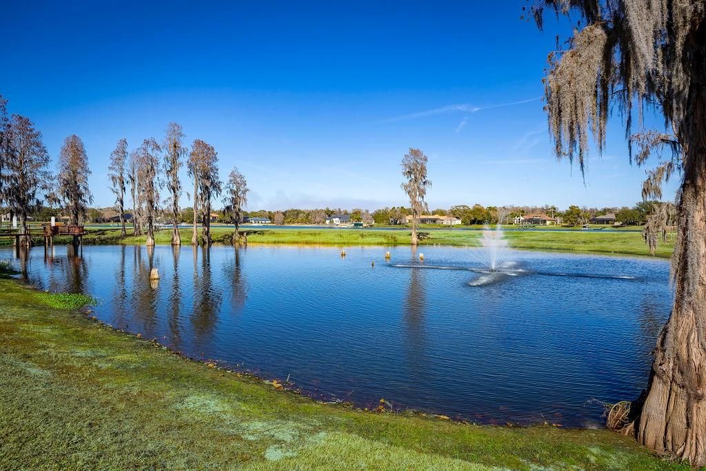 For Sale: $2,500,000 (4 beds, 4 baths, 5056 Square Feet)