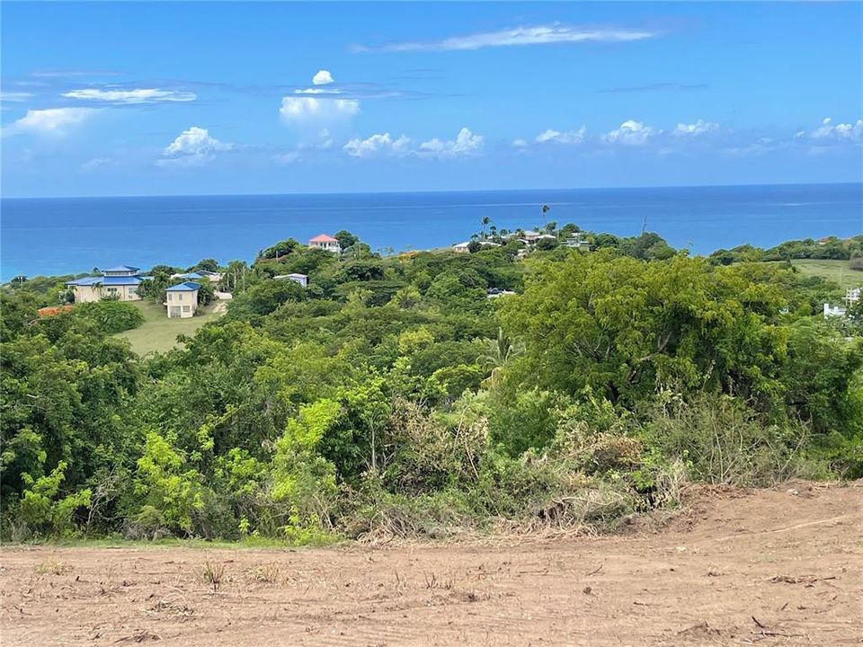 For Sale: $675,000 (5.20 acres)