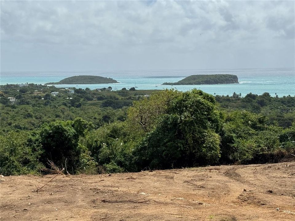 For Sale: $675,000 (5.20 acres)