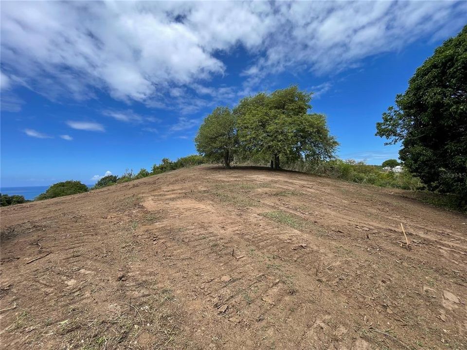 For Sale: $675,000 (5.20 acres)