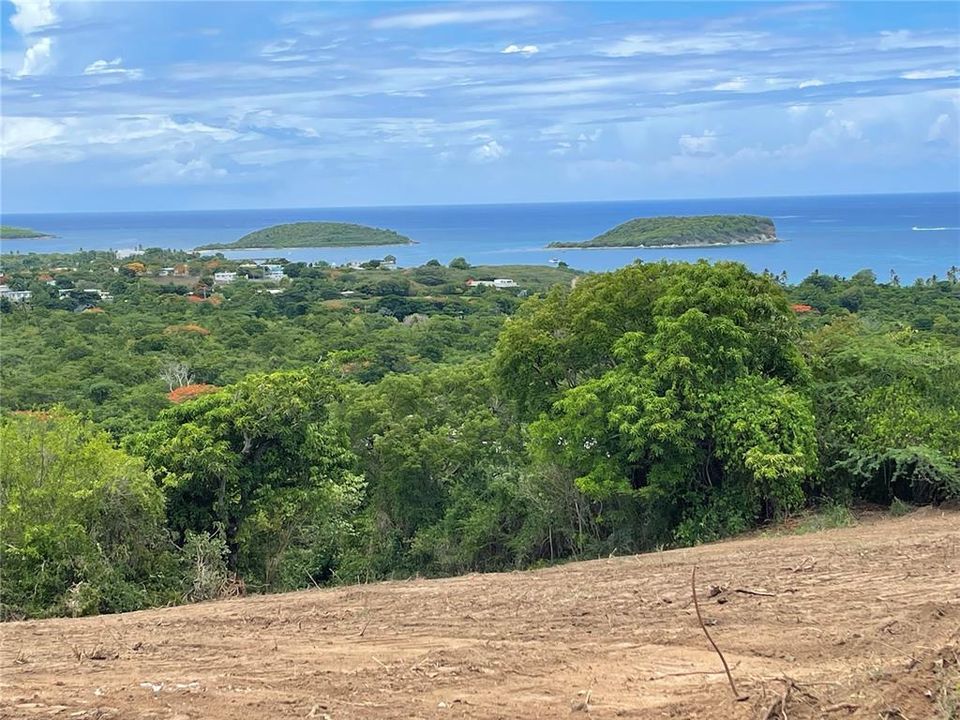 For Sale: $675,000 (5.20 acres)