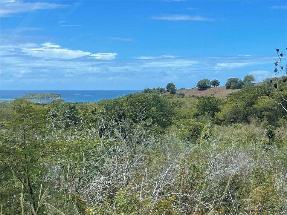 For Sale: $675,000 (5.20 acres)