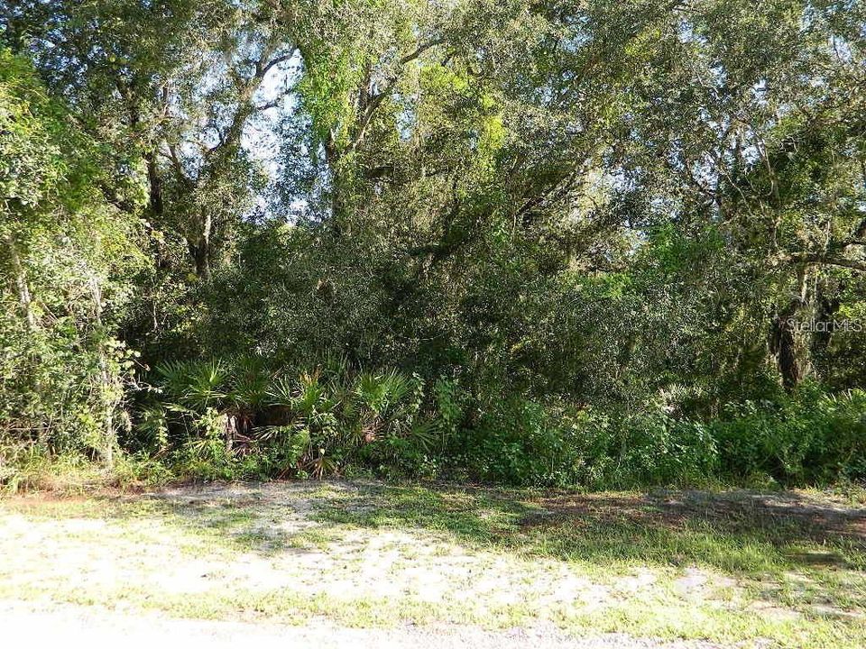Недавно продано: $49,900 (0.50 acres)