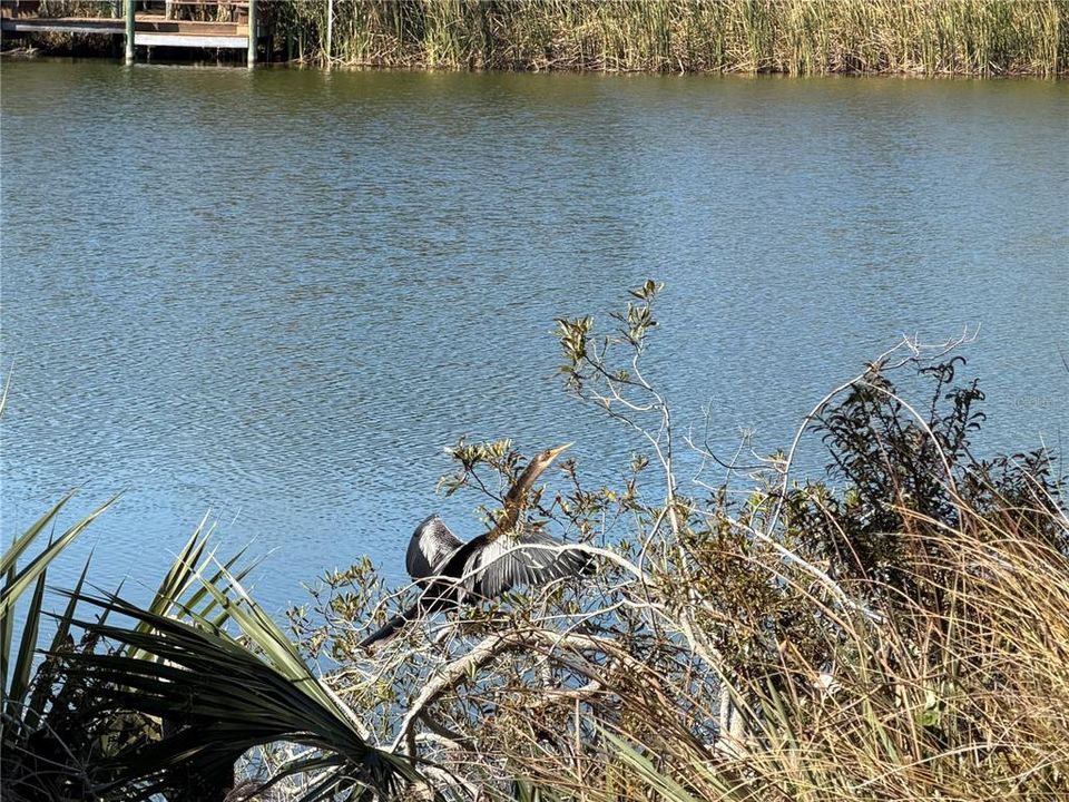 For Sale: $189,900 (0.59 acres)