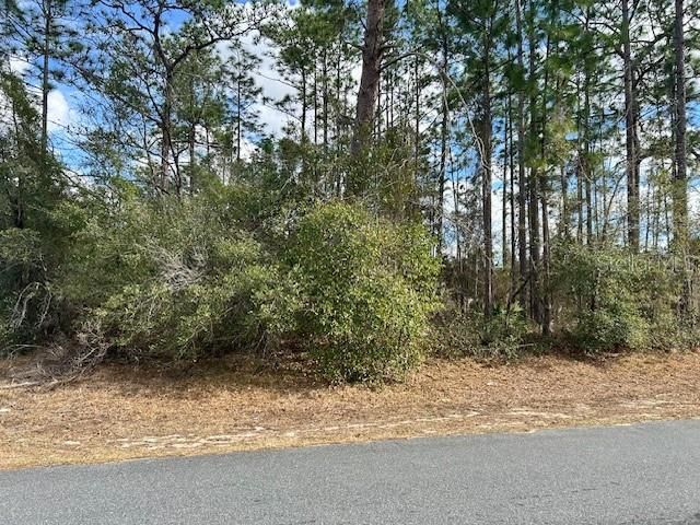 合同活跃: $50,000 (0.28 acres)