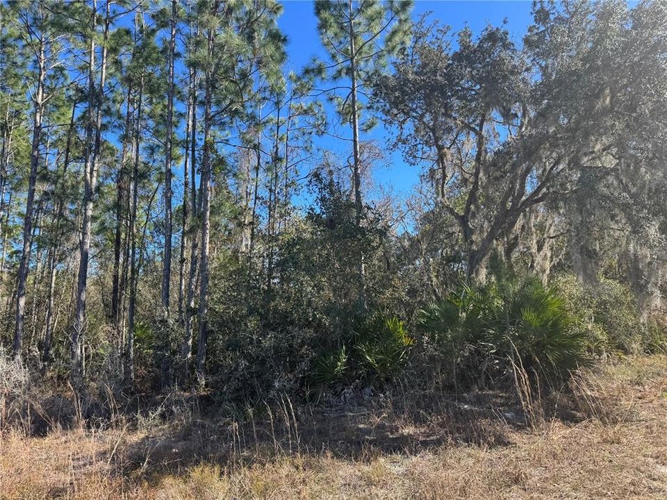 На продажу: $99,000 (1.12 acres)