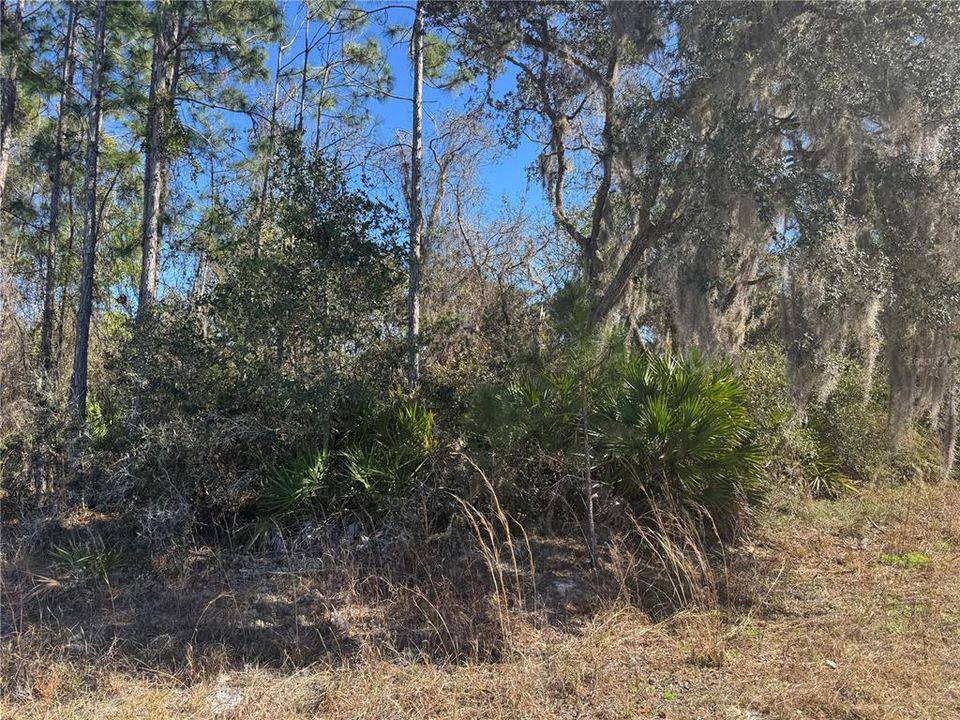 На продажу: $99,000 (1.12 acres)