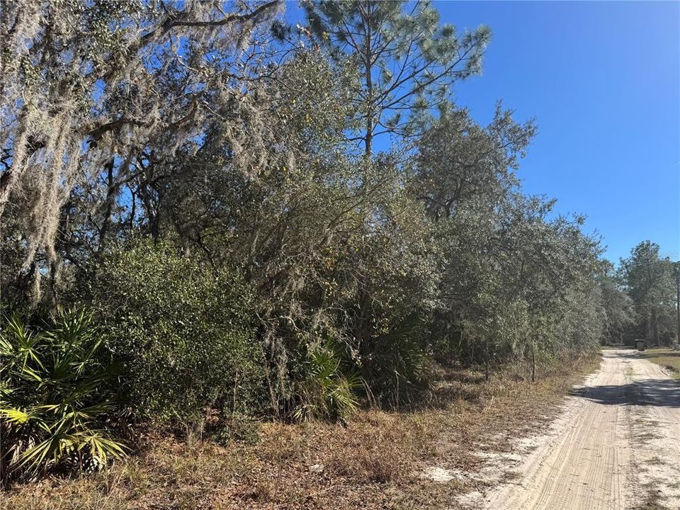 На продажу: $99,000 (1.12 acres)