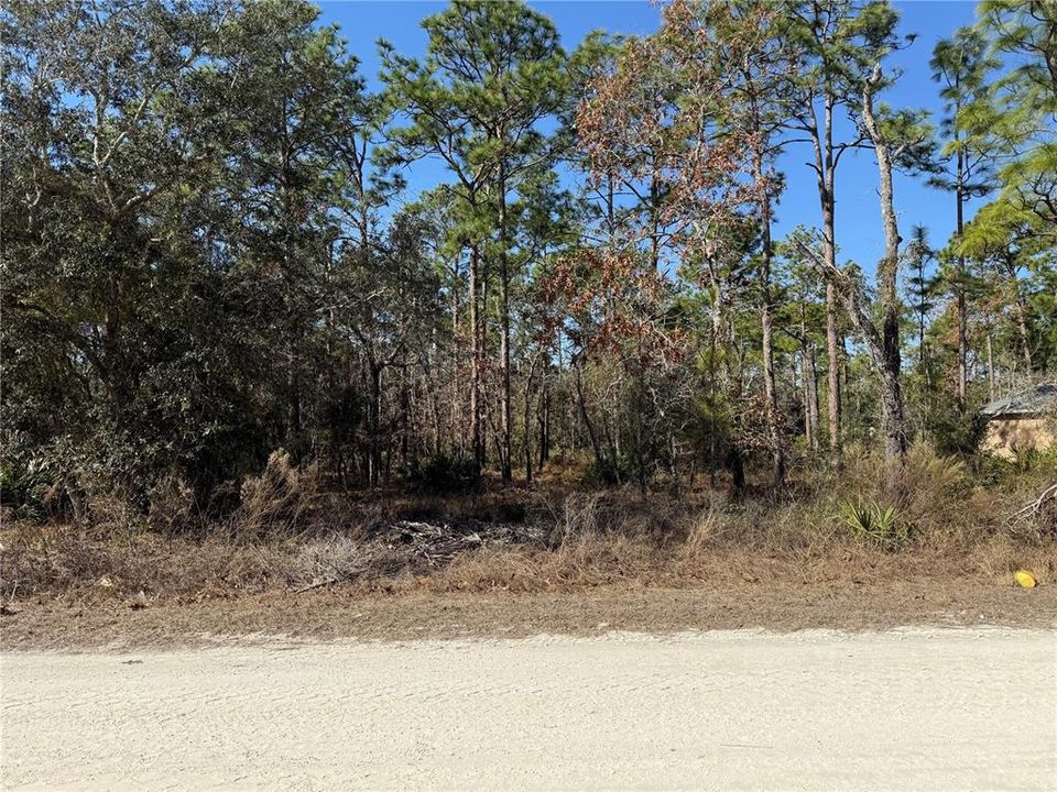 На продажу: $49,900 (0.46 acres)