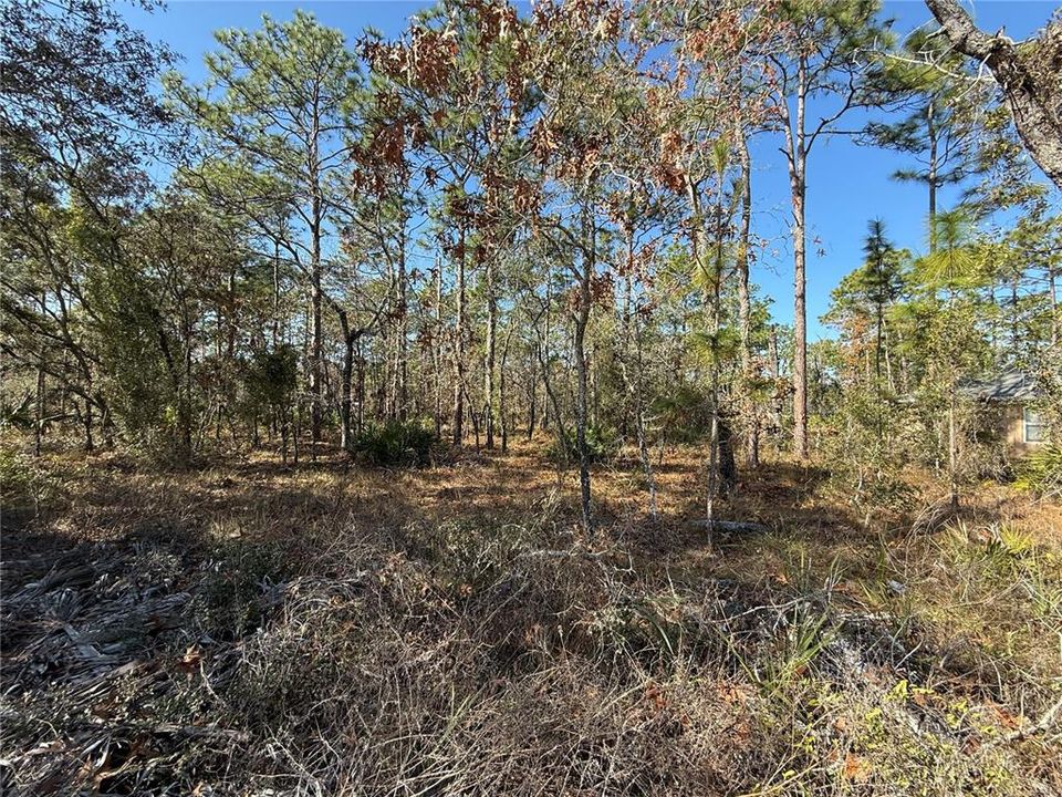 На продажу: $49,900 (0.46 acres)