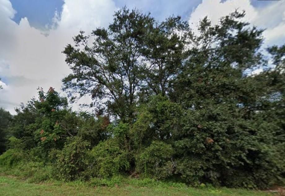 На продажу: $199,900 (8.01 acres)
