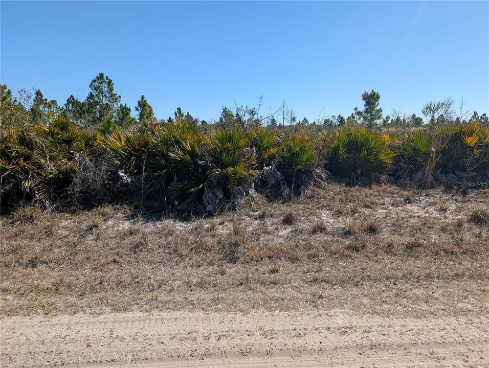 En Venta: $11,500 (0.50 acres)