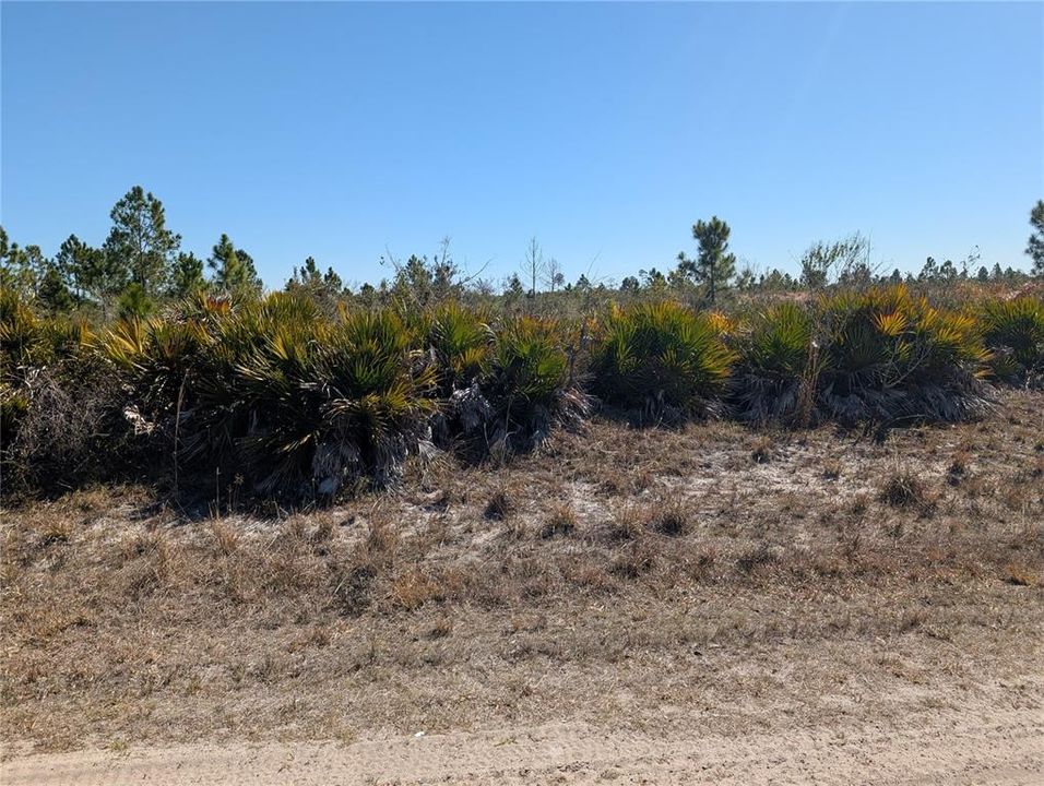 En Venta: $11,500 (0.50 acres)