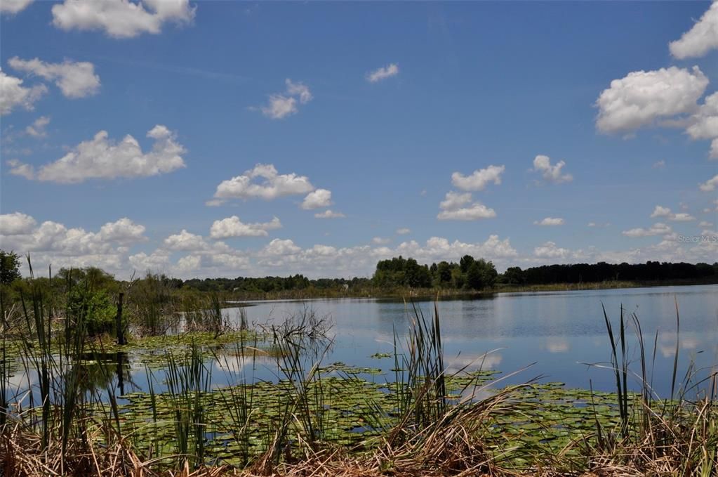 На продажу: $10,300,000 (88.00 acres)