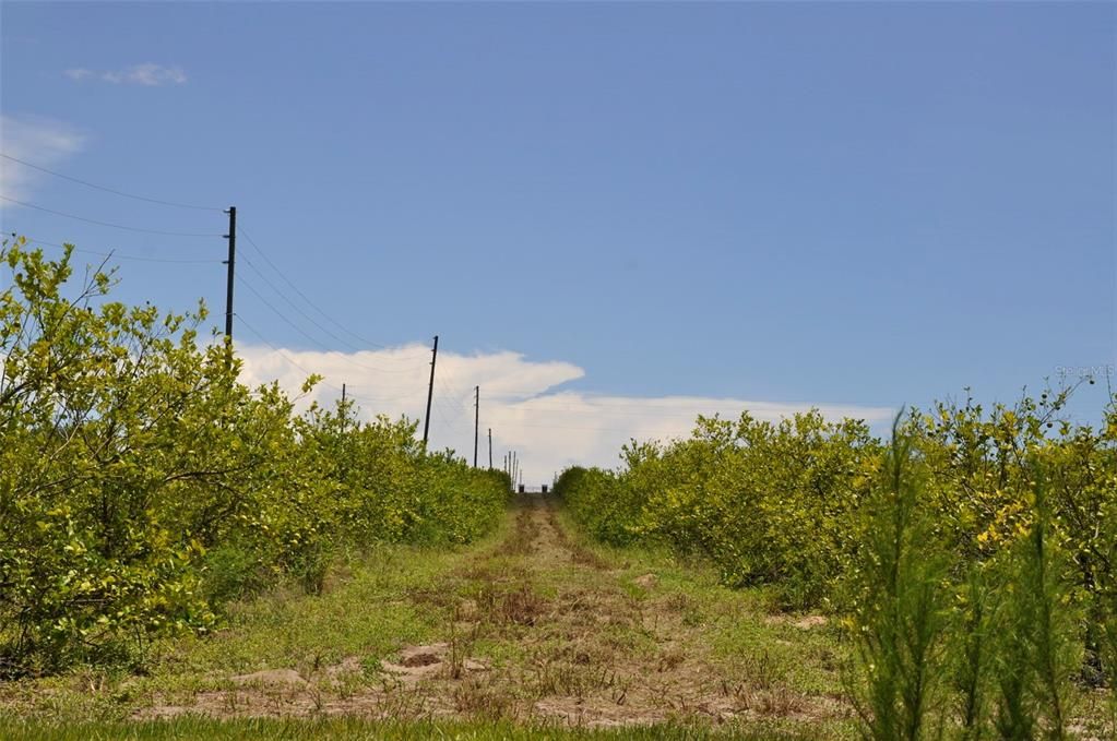 На продажу: $10,300,000 (88.00 acres)