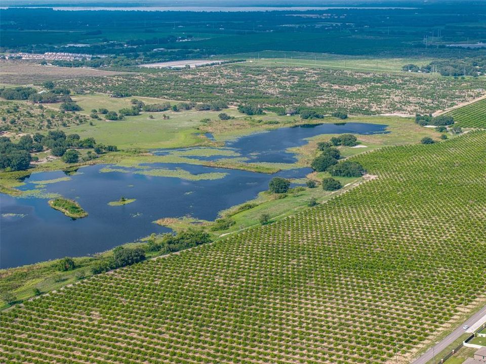 На продажу: $10,300,000 (88.00 acres)